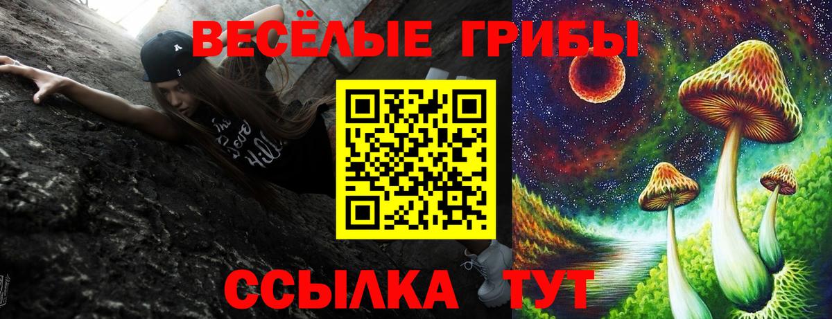 Псилоцибиновые грибы мухоморы Спасск-Дальний