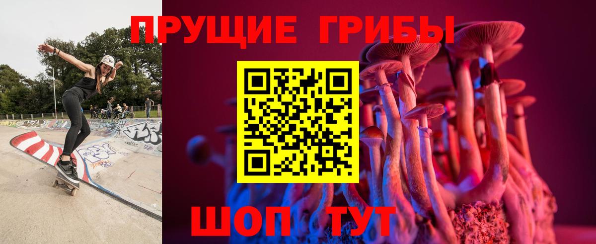 Спасск-Дальний  Галлюциногенные грибы Cubensis  Галлюциногенные грибы прущие грибы  Вход с VPN 